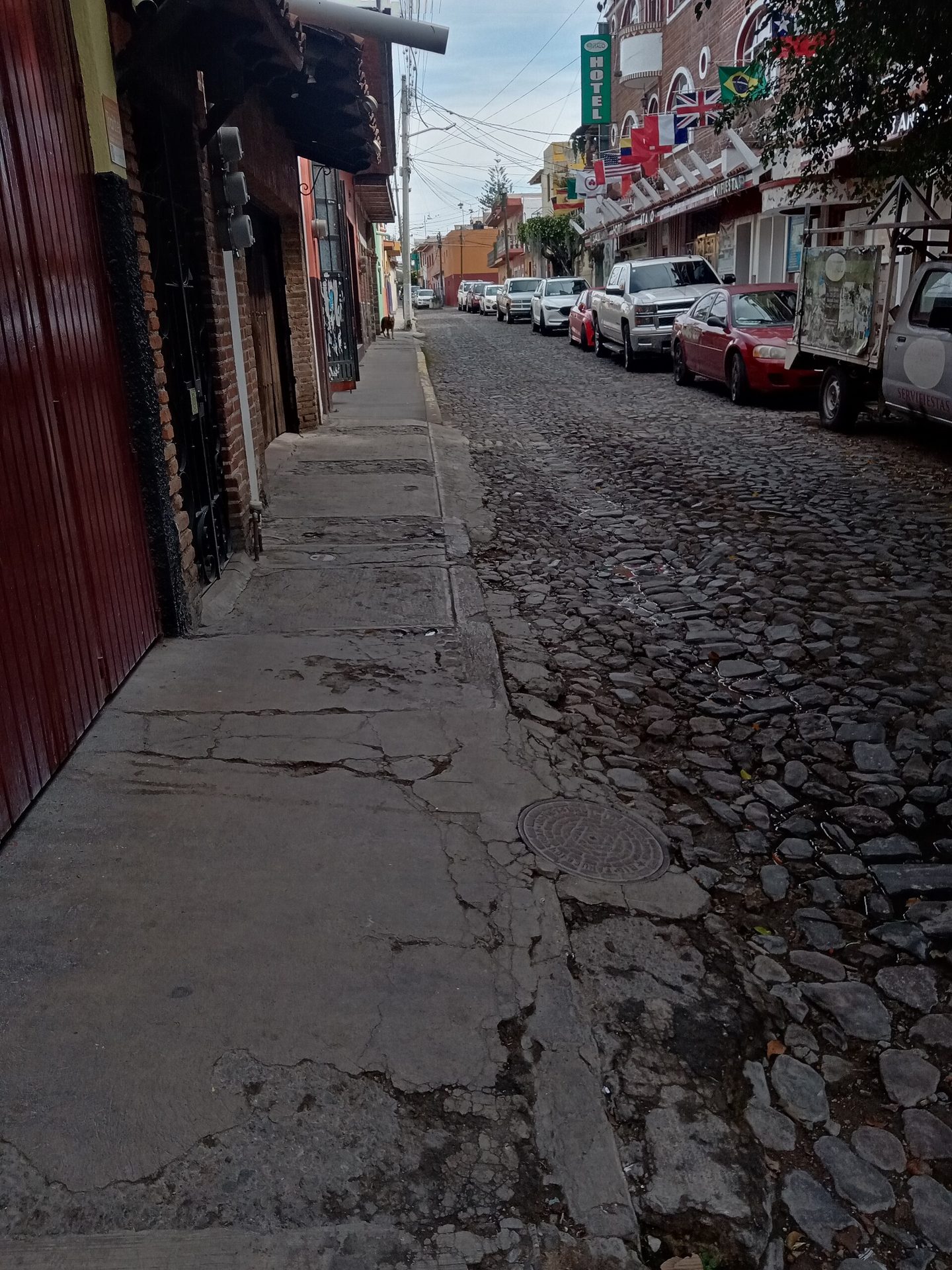 Calle empedrada en Ajijic